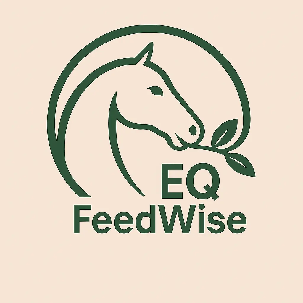 My Website